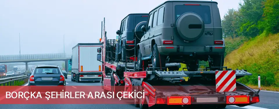 Borçka İlçemi Şehirler Arası Çekici