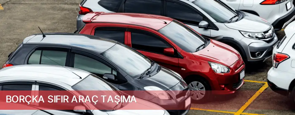 Borçka İlçemi Sıfır Araç Taşıma